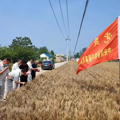 宁陵直属库的美篇（副本）