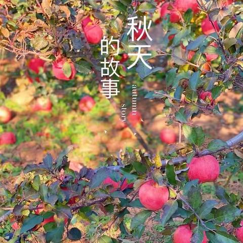 秋日采摘  "果"然有趣
