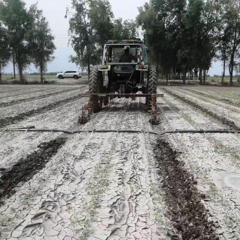 新湖农场一连灾后补救