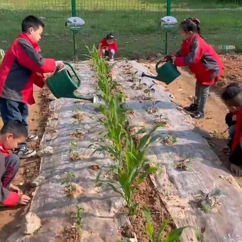 走进劳动基地——体验劳动快乐