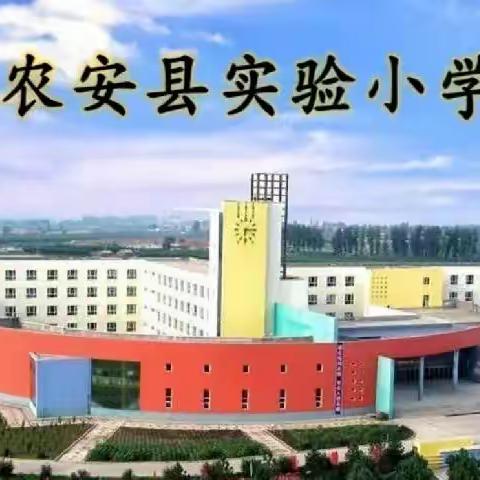 [实验小学]  出彩教育+｜凝聚实验精神，汇聚实验力量—实验小学教工排球赛