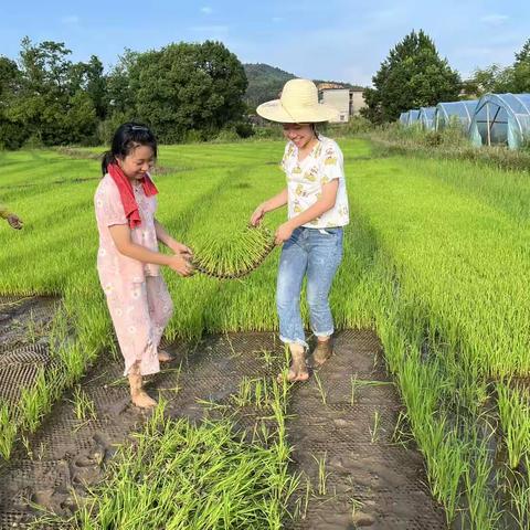 小璜村：田间课堂丰富留守儿童的暑期生活