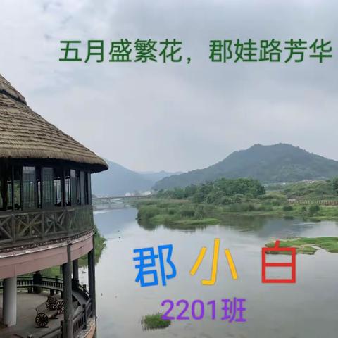 五月盛繁花，郡娃路芳华