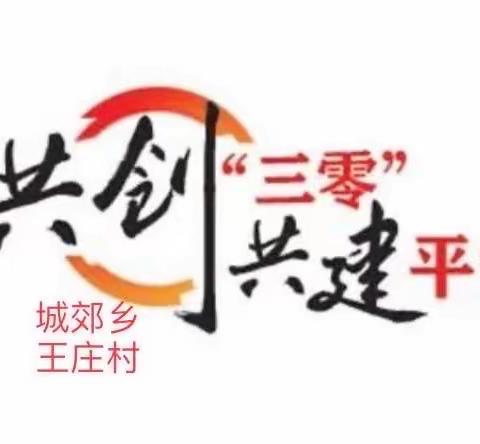 “三零创建”王庄村在行动！