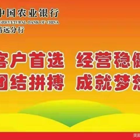 省行运营中心到清远分行开展柜面业务流程优化调研和业务质量提升培训