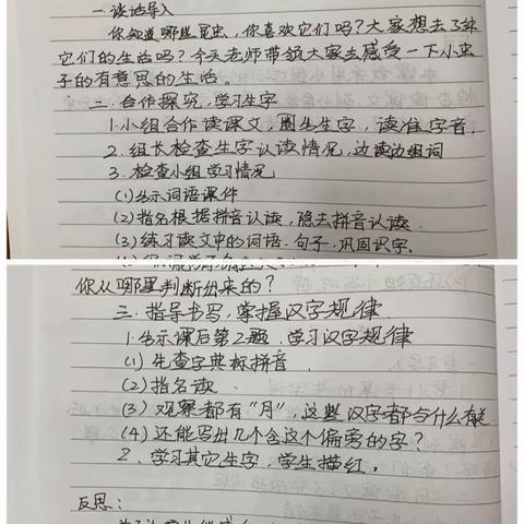 以检查促规范，以规范促提升——博学小学进行教案作业检查