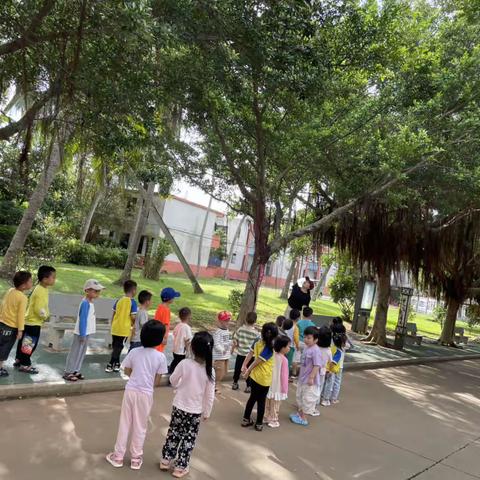 文教中心幼儿园中三班11月份简报