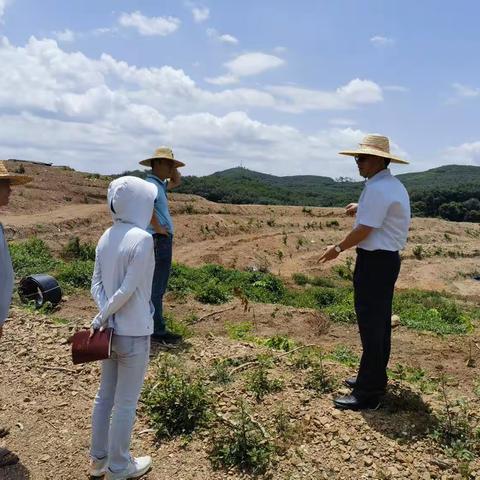 韩宇到荣邦乡芙蓉村和福英村开展产业发展调研