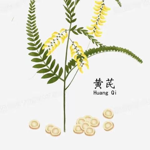 【 全民健康网格化服务 中医义诊送健康】顺昌县总医院元坑分院、福建中医药大学专家元坑义诊通知