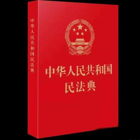 美好生活，民法典相伴——新阳中心小学师生学习民法典主题教育活动