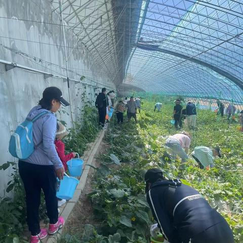 “采在初夏”——市行营业部高净值客户回馈活动