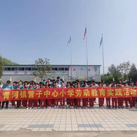 快乐研学助成长—平泉市青河镇营子中心小学劳动教育实践活动记录