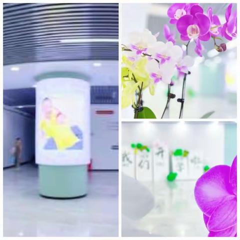 时光不语，静待花开