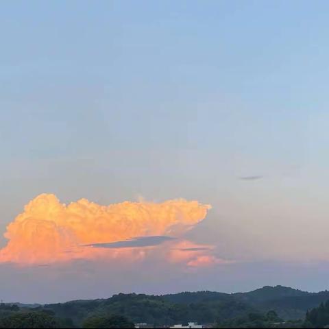 奋辑者先，勇进者胜