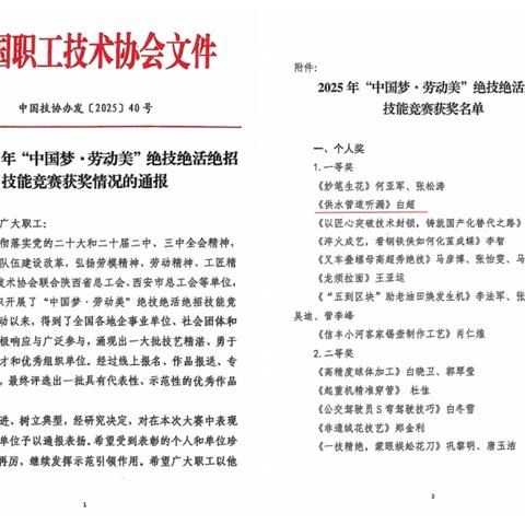 匠心铸绝技！西安净水处理公司职工白超在2025年“中国梦·劳动美”绝技绝活绝招技能竞赛中荣获一等奖​