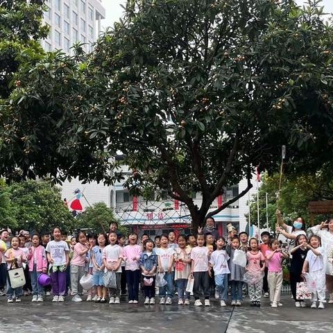 大一班户外活动——“枇杷味”的夏天