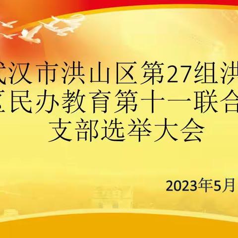 规范成立党支部，民办党建得力量