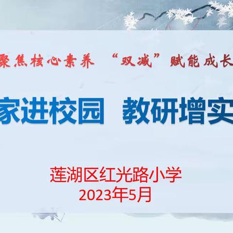 【红光路小学】专家引领助成长 不待扬鞭自奋蹄 ——专家进校园指导信息技术教学活动纪实