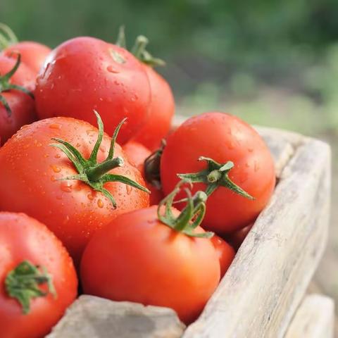 国昌幼儿园哈佛二班——厨艺课“火山飘雪”