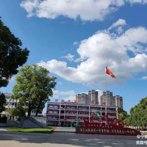 开“盲盒”，启研途——记河东学校小学语文组“盲盒式”教研活动