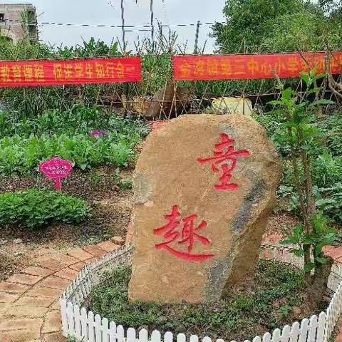 绽放劳动之花，遇见成长之美——肇庆市高要区金渡镇第三中心小学劳动实践基地成长记