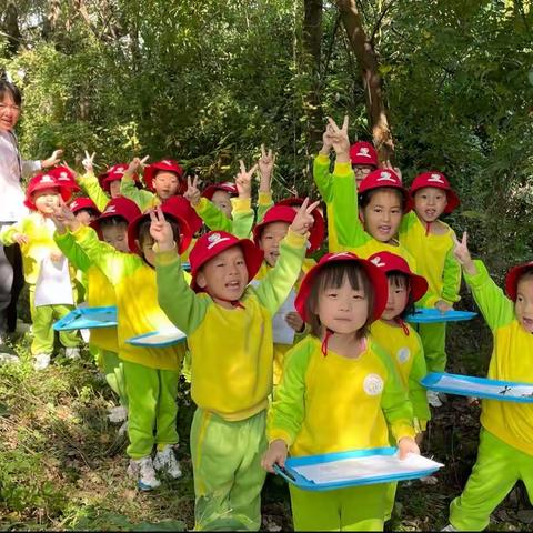 “秋天的树叶”🍂七彩花园幼儿园果果二班主题活动