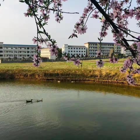 喜报——我校教师潘倩在第三届湖南省中小学青年教师教学竞赛邵阳市选拔赛中斩获初中英语组第二名