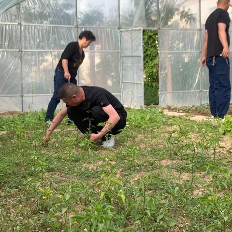 阿克塞车站“学习雷锋，美化家园”主题实践活动