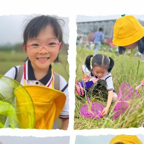 邀游昆虫王国  体验别样“六一”——鸿恩实验学校附属幼儿园暨怡园幼儿园庆“六一”研学活动