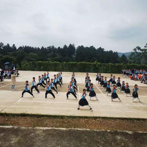 海咸河淡，鳞潜羽翔——记栗江中心小学大课间国学武术操比赛