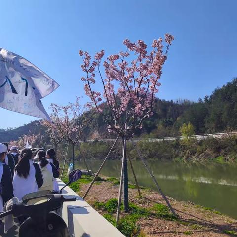 冬去逢春，万物复苏—八（8）班