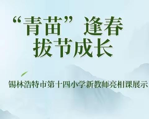 【“青苗”逢春，拔节成长】锡林浩特市第十四小学新教师亮相课活动