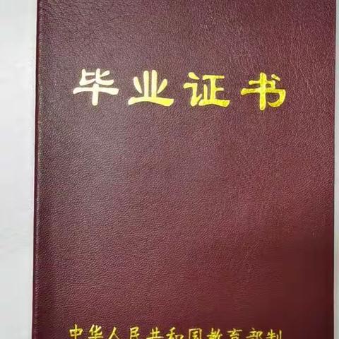 关于学历认证和职级晋升的信访材料