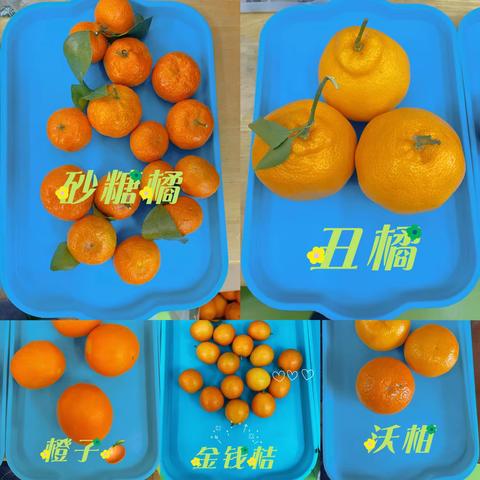 你好 橘子君🍊——小二班主题教育活动