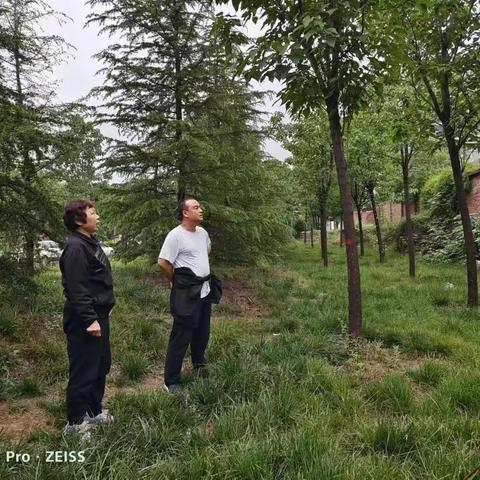 【园林中心西苑】阴雨天气及时排查安全隐患；防微杜渐，防患于未然！