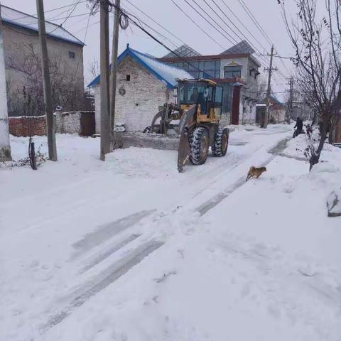 凝心聚力铲积雪，方便出行你我他