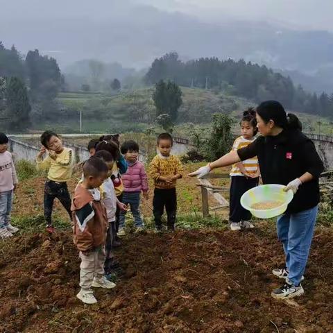 小麦的神奇之旅