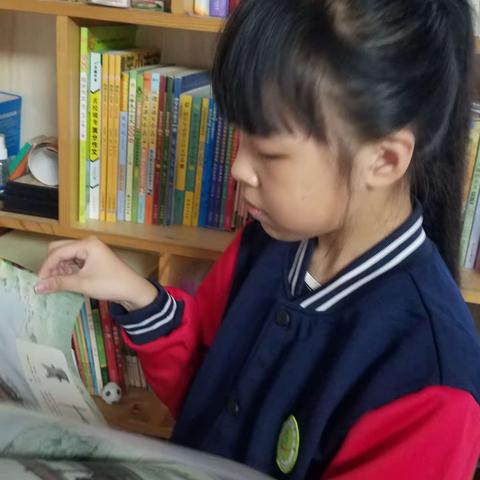 《水的作用》宸卿小学503班徐若秋