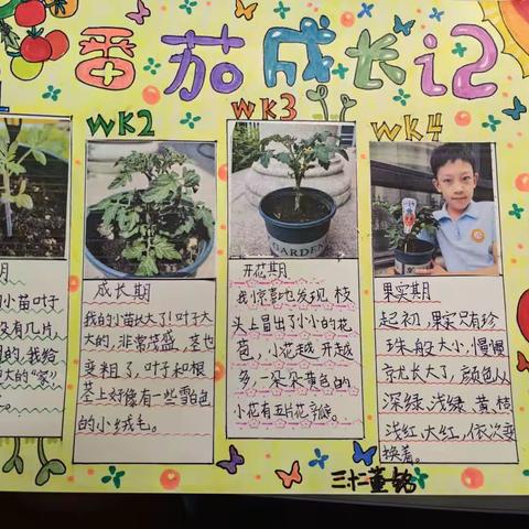 风华小学三年十二班种植活动总结