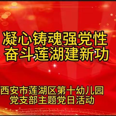 【凝心铸魂强党性 奋斗莲湖建新功】—莲湖区第十幼儿园党支部主题党日活动