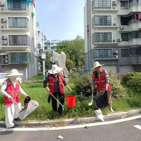 清洁家园  喜迎亚运盛会 / 东苑社区8月主题党日活动