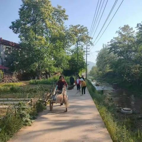 小川村持续抓好河道治理工作