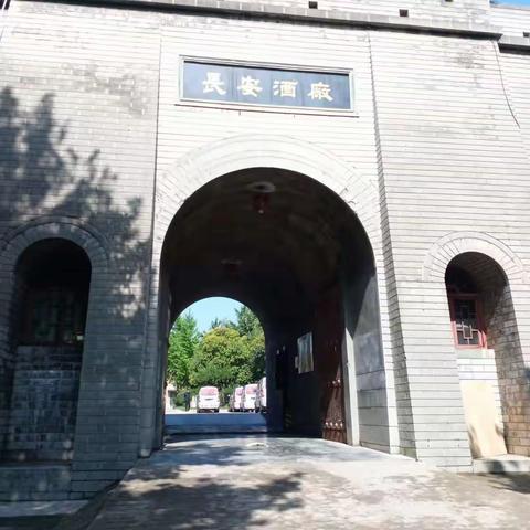 韦曲街道生态环境保护工作日报