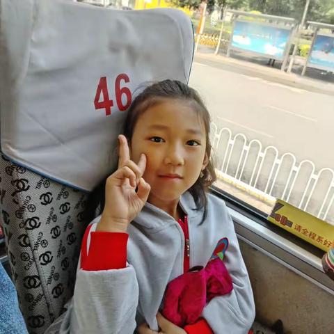 🔔叮咚！集酷乐园🐒🐼🐍🦓🐅🦖🐳🐑🐇我们来啦🌺