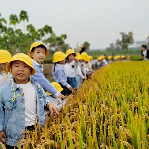 秋意浓浓🌾 🍂 有你超甜🌸💕梁中幼中二班阶段小结