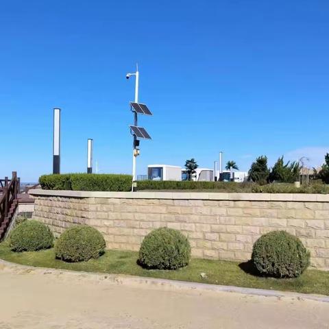 《成长烦恼》孩子不优秀不是打出来的，学校：郭家堡中学，年级：五年级，学生：苏龙，指导老师：张文新，日期：10月31日