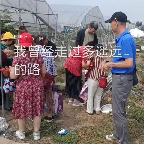 金秋采摘、休闲一日游