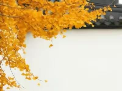 鼎盛华城11月份工作汇报