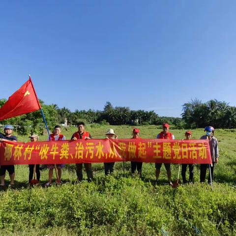 东郊镇椰林村委会开展“拾牛粪、治污水、从我做起”主题党日活动