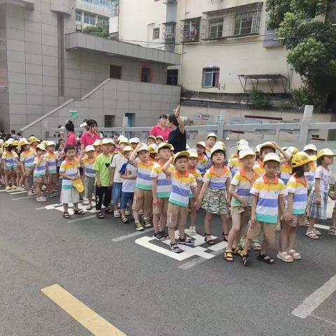 【幼小衔接】走进小学，续写童年——步步高幼儿园大班小朋友参观竞晖小学纪实活动